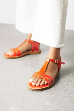Angulus Sandal Dame